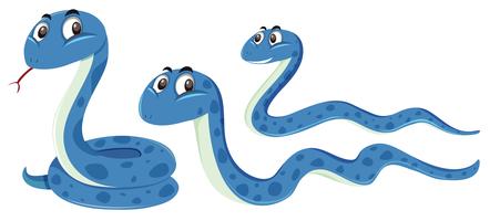 A set of blue snake vector