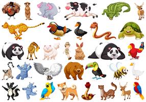 Set of wild animal vector