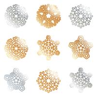 Snowflakes silver gold vector