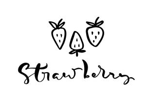 Hand drawn calligraphy text Strawberry and three outline doodle icons of strawberry. Vector sketch logo illustration of healthy berry - fresh raw strawberry for print, web, mobile and infographics isolated