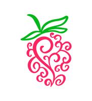 Vector hand drawn raspberry outline doodle icon fruit