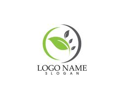 Logos de la hoja verde ecología naturaleza elemento vector icono