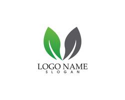 Logos of green leaf ecology nature element vector icon