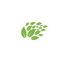 nature leaf logo design vector illustration icon element