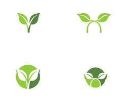 green leaf ecology nature element vector icons