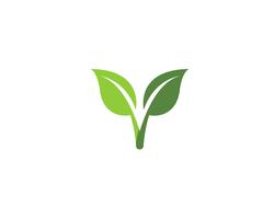 green leaf ecology nature element vector icons