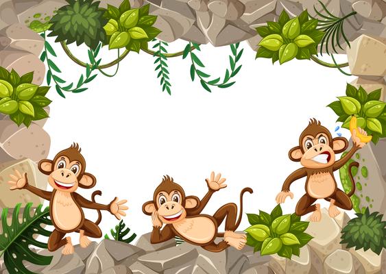 A monkey in wild boarder