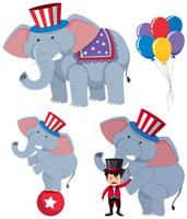 A set of circus elephants vector