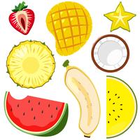 Un conjunto de fruta cortada media vector