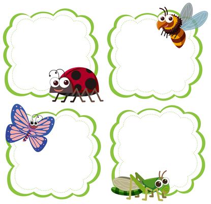 Set of insect note template