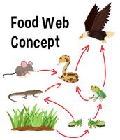 Science food web concept vector