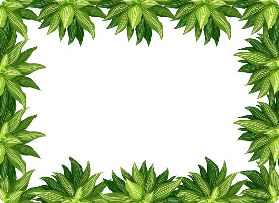 A nature leaf border