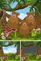 Grizzly bear family in the jungle vector