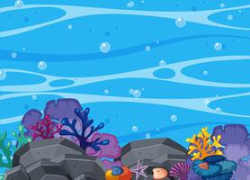 Beatiful Coral and Underwater Scene vector