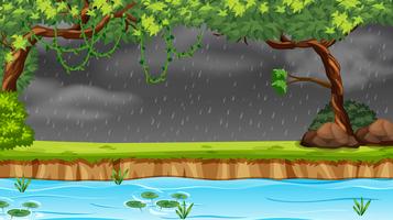 Lloviendo en el bosque vector