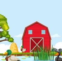 Rural farm house landscape vector