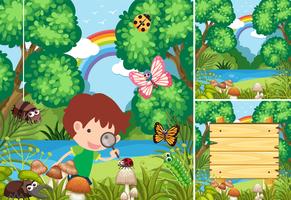 Scenes with kids in the forest vector