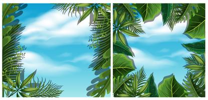 Looking at sky from bottom view in forest vector