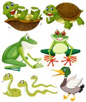 Set of green animals vector