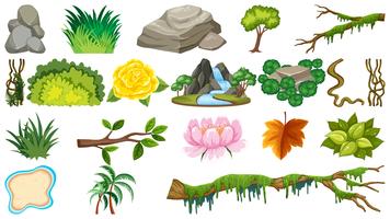 Set of natural objects vector