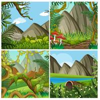 A Natural Forest Landscape vector