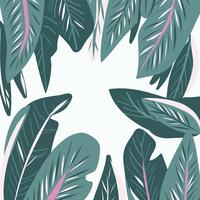 hand drawn Tropical leaf seamless  pattern vector