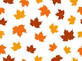 Maple leaves seamless pattern isolated on white background vector