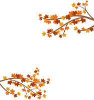 Branch with autumn maple leaves isolated on background - Vector illustration