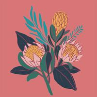 King protea hand drawn with outline graphic design vector