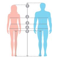 Silhuettes de hombre y mujer en toda su longitud con líneas de medición de parámetros corporales. Medidas de tallas hombre y mujer. Ilustración de dibujos animados vector stock. Mediciones y proporciones del cuerpo humano.