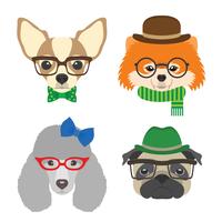 Conjunto de retratos de perros. Gafas de Chihuahua, pug, caniche, pomeranian, con lentes y accesorios de estilo plano. Ilustración vectorial de perros Hipster para tarjetas, estampado de camisetas, carteles, avatares.