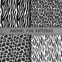 Vector seamless patterns set with animal skin texture. Repeating animal backgrounds for textile design, scrapbooking, wrapping paper. Vector animal prints.