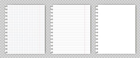 Set of blank  copy book sheets with torn edges. Mockup or template of graph notepad pages for your text. vector