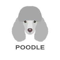 Ilustración de vector de caniche en estilo plano. Poodle icono plana.