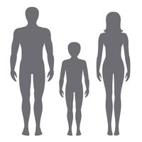 Vector illustration of man, woman and child. Body proportions of human front view silhouettes.