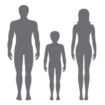 Human body silhouette vector, anatomy pinturas para a parede • quadros  branco, vista, vetor