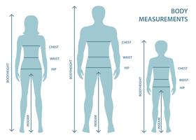 Women's clothing size chart. Body measurements. Bust, waist, hips. Front  view. 24474313 Vector Art at Vecteezy