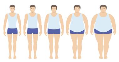 Ilustración vectorial de índice de masa corporal desde bajo peso hasta extremadamente obeso en estilo plano. Hombre con diferentes grados de obesidad. Cuerpo masculino con diferente peso.