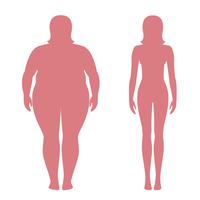 Ilustración vectorial de siluetas de mujer gorda y delgada. Concepto de pérdida de peso, antes y después. Cuerpo femenino obeso y normal. vector