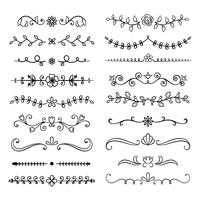 Collection of hand drawn flourish text dividers. Doodle botanical boders for typography design, invitations, greeting cards. Calligraphic and floral design elements. vector