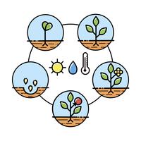 Infografía de las etapas de crecimiento de las plantas. Iconos de la línea de arte. Plantilla de instrucciones de siembra. Ilustración de estilo lineal aislado en blanco. Plantación de frutas, proceso de hortalizas. Estilo de diseño plano. vector