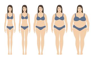 Ilustración vectorial de índice de masa corporal desde bajo peso hasta extremamente obeso. Siluetas de mujer con diferentes grados de obesidad. Concepto de pérdida de peso. vector