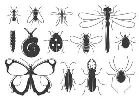 Insects set in flat style. Line art bugs icon collection.