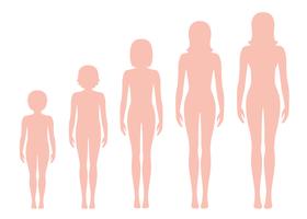 Women's body proportions changing with age. Girl's body growth stages. Vector illustration. Aging concept. Illustration with different girl's age from baby to adult.