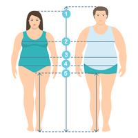 Ilustración de estilo plano de hombres y mujeres con sobrepeso en toda su longitud con líneas de medición de parámetros corporales. Ropa de hombre y mujer más medidas de talla. Mediciones y proporciones del cuerpo humano. vector