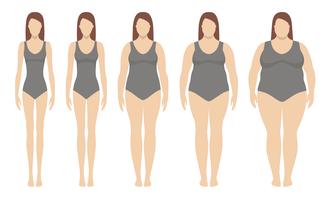 Ilustración vectorial de índice de masa corporal desde bajo peso hasta extremamente obeso. Siluetas de mujer con diferentes grados de obesidad. Concepto de pérdida de peso. vector
