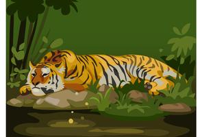 tigre en la selva vector