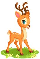 Cute baby deer in pose vector