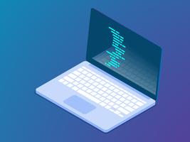 coding with laptop vector isometric