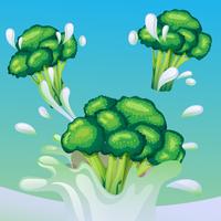 broccoli splash vector